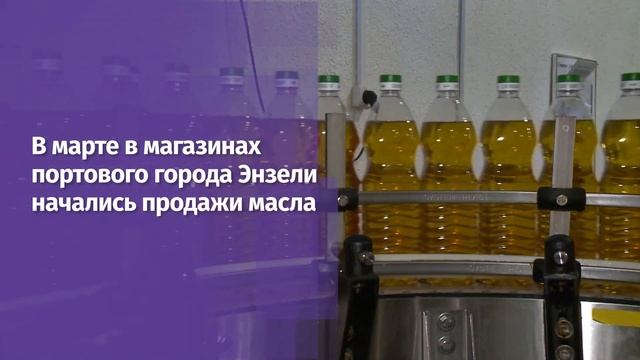 Белгородское растительное масло выходит на рынок Ирана смотреть онлайн