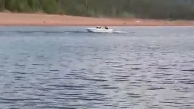Экзамен по курсу "Судоводитель маломерного судна". ООО "ПрофЦентр" смотреть онлайн