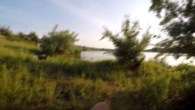 Как клюёт на Троицу!!! Русямба в Щербанях!!! смотреть онлайн