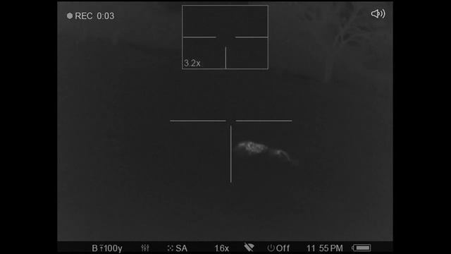 Over 55 Hogs Down - Thermal Hog Hunting смотреть онлайн