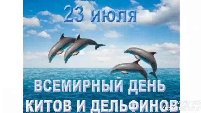 23 июля всемирный день защиты китов и дельфинов. смотреть онлайн