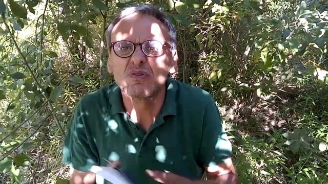 Приближение к Богу с чистым сердцем - Рецепт Библии. (Матфея 5:8) смотреть онлайн