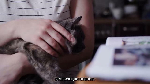 К чему снится родить котенка? Толкование сна и его значение по сонникам Хассе и Ванги смотреть онлайн