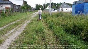 Газонокосилка против высокой травы ► Мой личный опыт.
