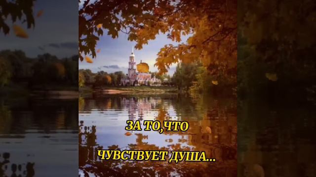 #пожелания #осень #доброеутро #красота смотреть онлайн