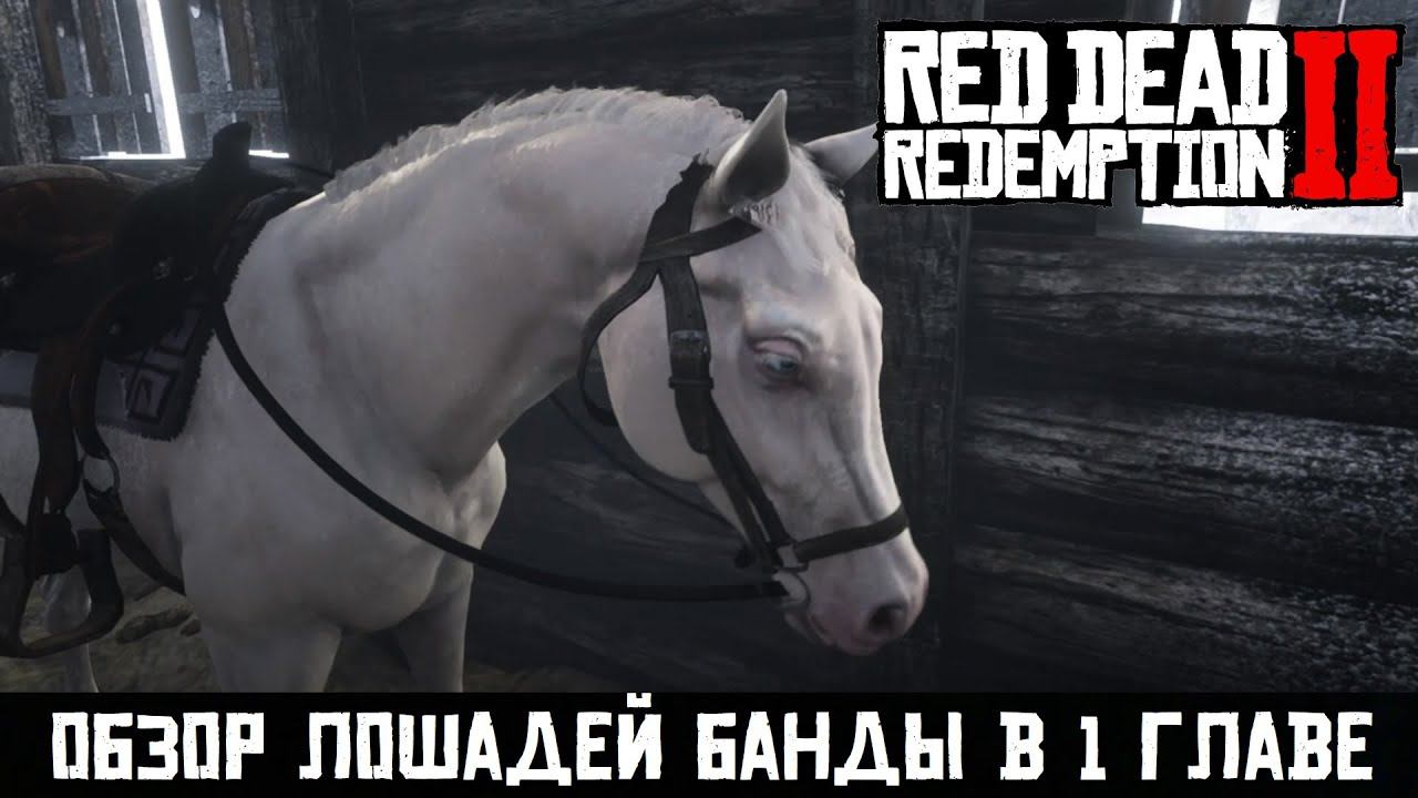 Обзор лошадей банды Ван дер Линде в Red Dead Redemption 2 смотреть онлайн