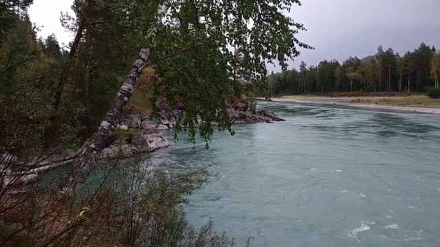 Катунь#nature#природа#река#катунь#алтай#релакс#relaxing смотреть онлайн