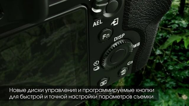 Полнокадровые фотокамеры Sony α7 и α7R смотреть онлайн