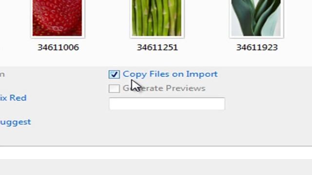 Photoshop Elements 9: Using USB or External Hard Drives смотреть онлайн