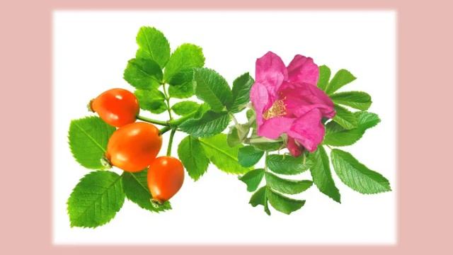 тема ягоды смотреть онлайн