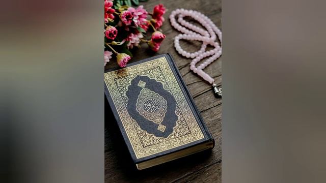 Nasheed Tj