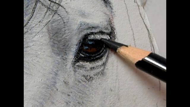 "Silver" the Wild Mustang Painting Demonstration смотреть онлайн