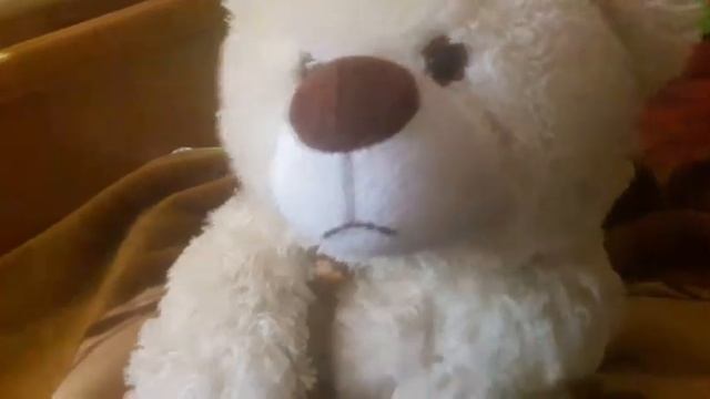 Влог первое видео МИШКИ ТЕДДИ !!TEDDY EVI? смотреть онлайн