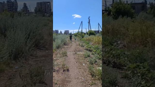 Будни СВО глазами наших бойцов смотреть онлайн