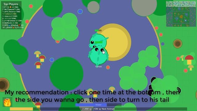 Mope.io // 1v1 TUTORIAL // HOW TO BE A PRO AT DRAGONS FIGHTS // Tips and tricks смотреть онлайн
