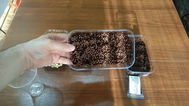 Тестирование набора для выращивания микрозелени дома смотреть онлайн