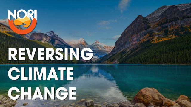 How tech can help save the Amazon—w/ Diego Saez Gil of Pachama: Reversing Climate Change #104 смотреть онлайн