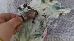 ВместоТысячиСлов. БМВ Х5 е53. М54. Электромагнитный клапан ваноса на впуске