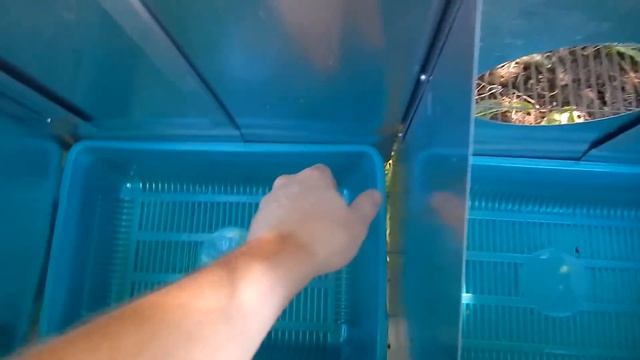 Маточные дверки. смотреть онлайн
