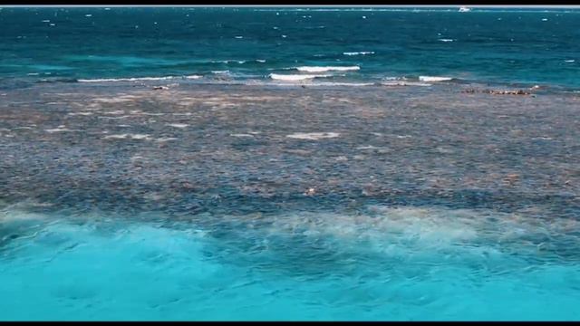 Dolphins House Hurghada смотреть онлайн
