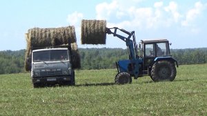 Уборка и вывозка сена. Сломал прицеп, оставил в поле, проблемы с тормозами.