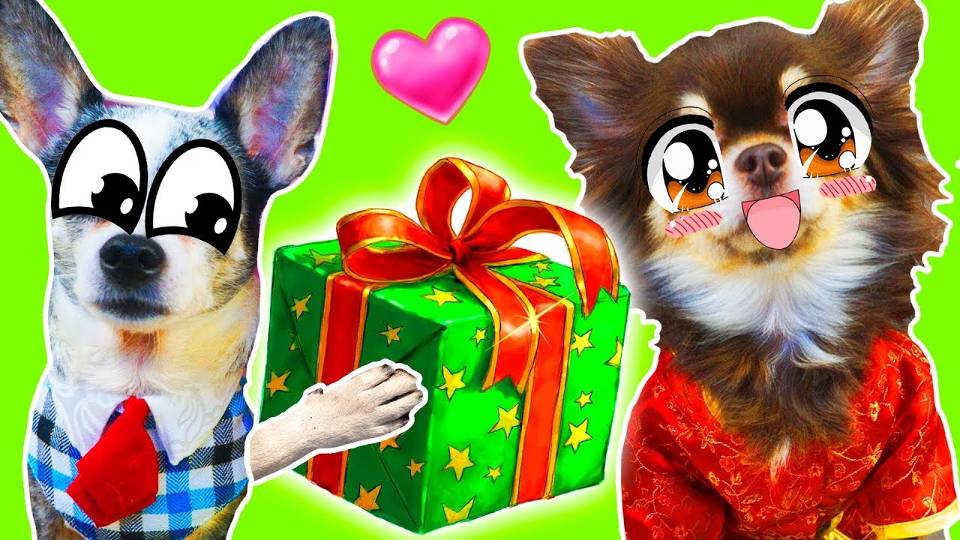 День рождения Миши 🎉🐾 Подарки и торт от Волшебных питомцев! смотреть онлайн