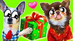 День рождения Миши 🎉🐾 Подарки и торт от Волшебных питомцев!