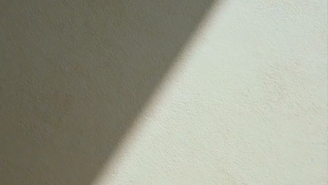 Коллекция Uniqlo U Весна-Лето 2019: компактная куртка смотреть онлайн