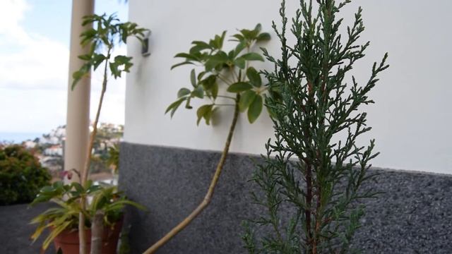 Nikon D3300 Video Test смотреть онлайн