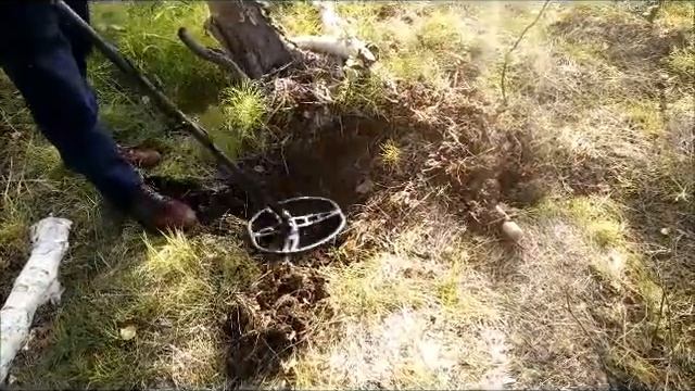 БИЗНЕС С МЕТАЛЛОИСКАТЕЛЕМ! ПОЛЕЗНЫЙ КОП!