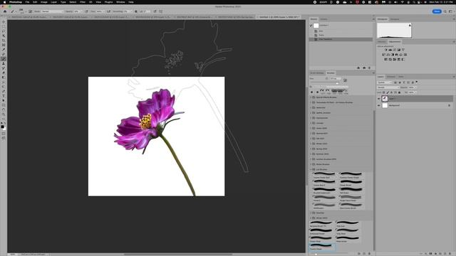 How To DIY Custom Photoshop Brushes|Create A Painted Look With Brushes In Photoshop