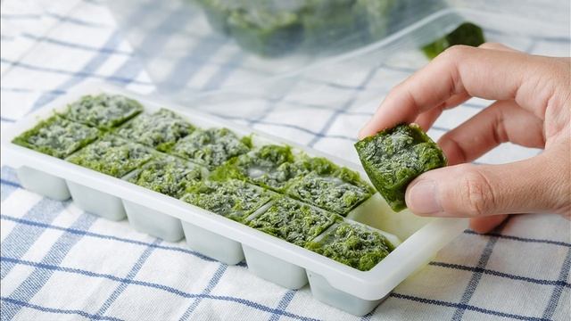 Парк растений. Эссе. Садовый отчёт.#парк растений смотреть онлайн