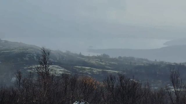 Мурманской обл.- 80 лет ! смотреть онлайн