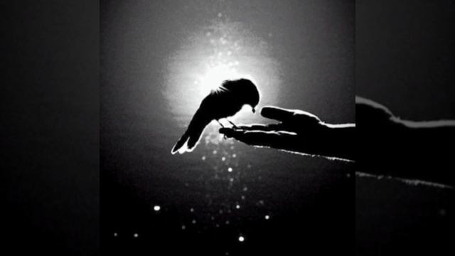 Ты Смотришь [Глазами Бога] Божественное МироТворение Высшее Я смотреть онлайн