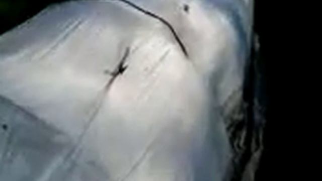 МарёвоЛЕВ разговаривает с огурцами смотреть онлайн
