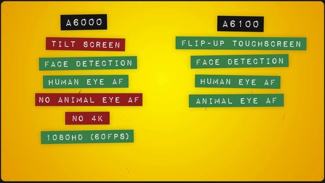 ULTIMATE Sony APS-C Camera Buyers Guide 2021! A6600, A6500, A6400, A6300, A6100, A6000, A5100