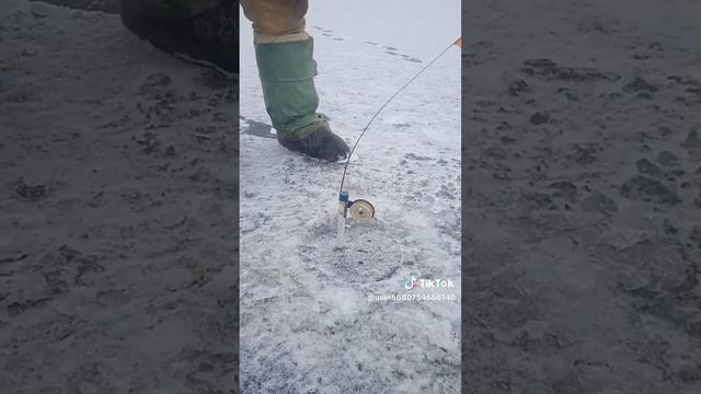 Щука улов На жерлицы Зимняя рыбалка смотреть онлайн