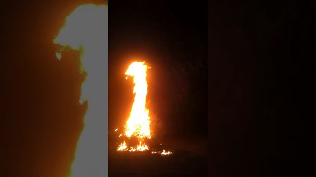 Bongo goes boom! смотреть онлайн