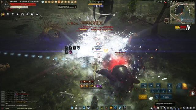 BDO | 10MINS ELVIA REALM WEAPON! 270AP RECOMMENDED FOGAN SWAMP HABITAT! смотреть онлайн
