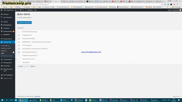 Zen yandex wordpress plugin - Предварительная версия смотреть онлайн