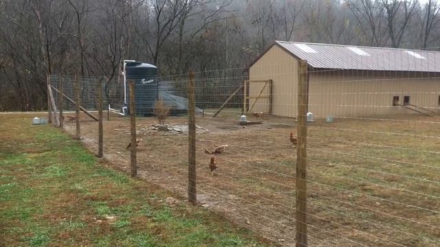 Chicken Coup Build смотреть онлайн