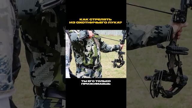 Как стрелять из охотничьего лука #shorts смотреть онлайн