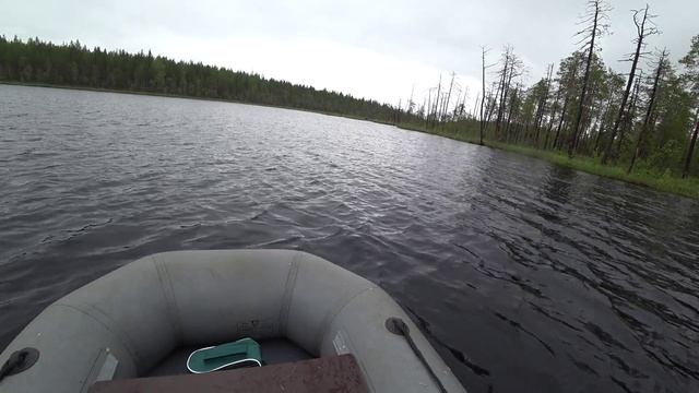 РЫБАЛКА НА ТАЕЖНОМ ОЗЕРЕ В КАРЕЛИИ / СПИННИНГ. ЖЕРЛИЦЫ. КРУЖКИ / НОРД И ГЛУХАРКА смотреть онлайн