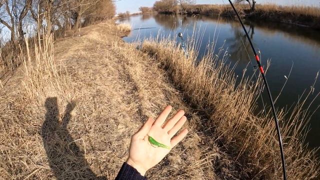 Разведка по щучим местам. Поймал щук. Кто ищет - тот всегда найдет. смотреть онлайн