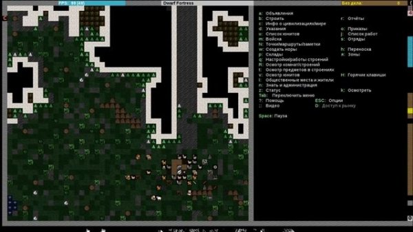 Что такое Dwarf Fortress