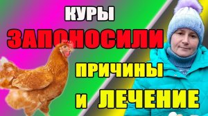 Наши куры запоносили. Причины.