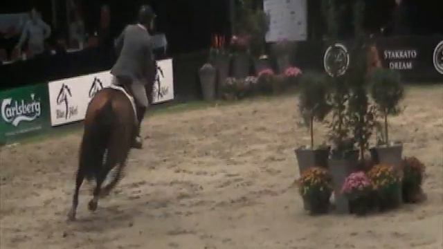 Michael Aabo riding Bögegaardens Graf Stakkato смотреть онлайн