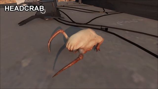 Создание звуков Headcraba. Half Life Monster Sounddesign.
