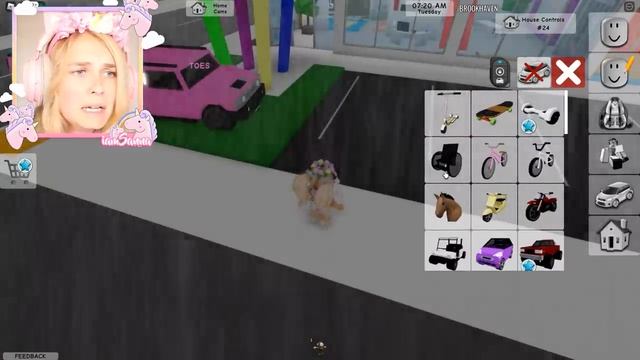 ONLY ADULT In Brookhaven (Roblox) смотреть онлайн