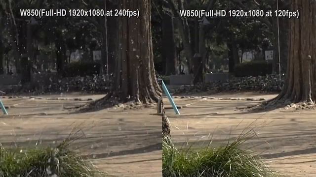 Panasonic Camcorders | Full HD Slow Motion Comparison 120 fps vs 240 fps смотреть онлайн